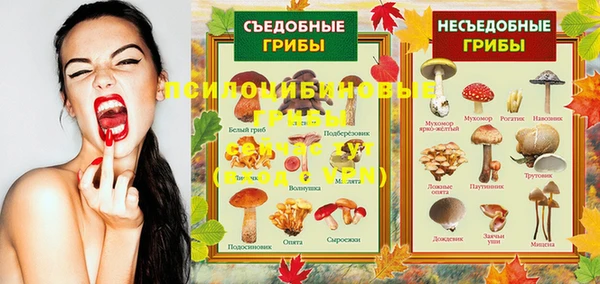 тгк Алзамай
