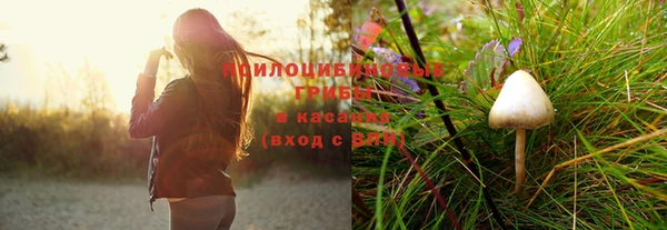 крисы Алексеевка