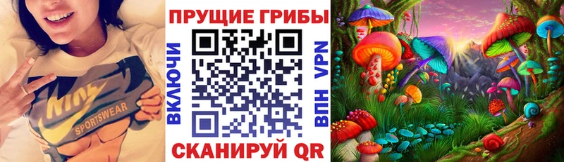 Галлюциногенные грибы GOLDEN TEACHER  Дно 